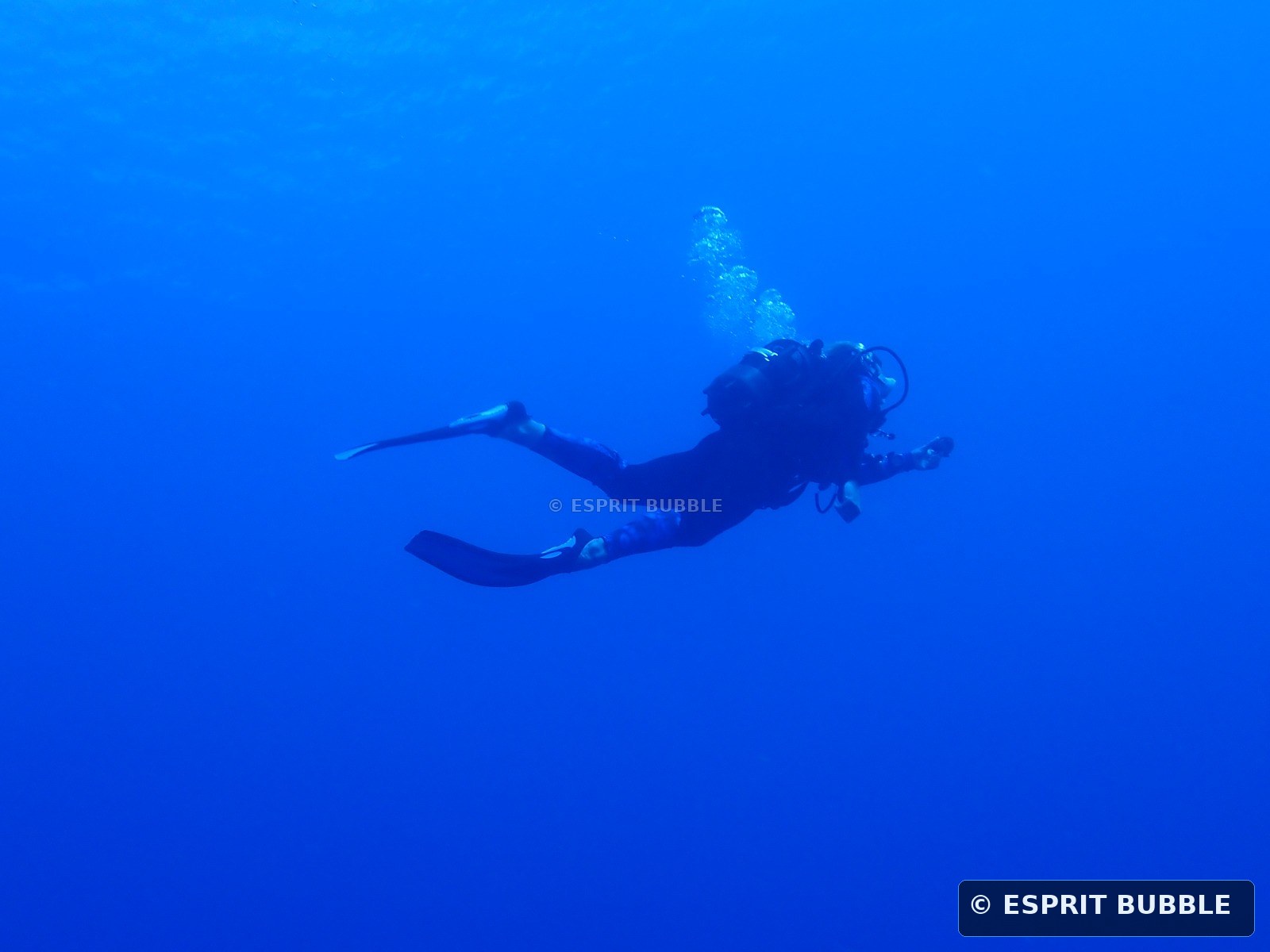 Plongeur en pleine eau